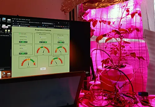 Hydroponics