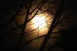 Evil Sun