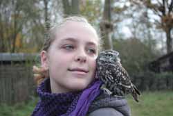 Little Owl