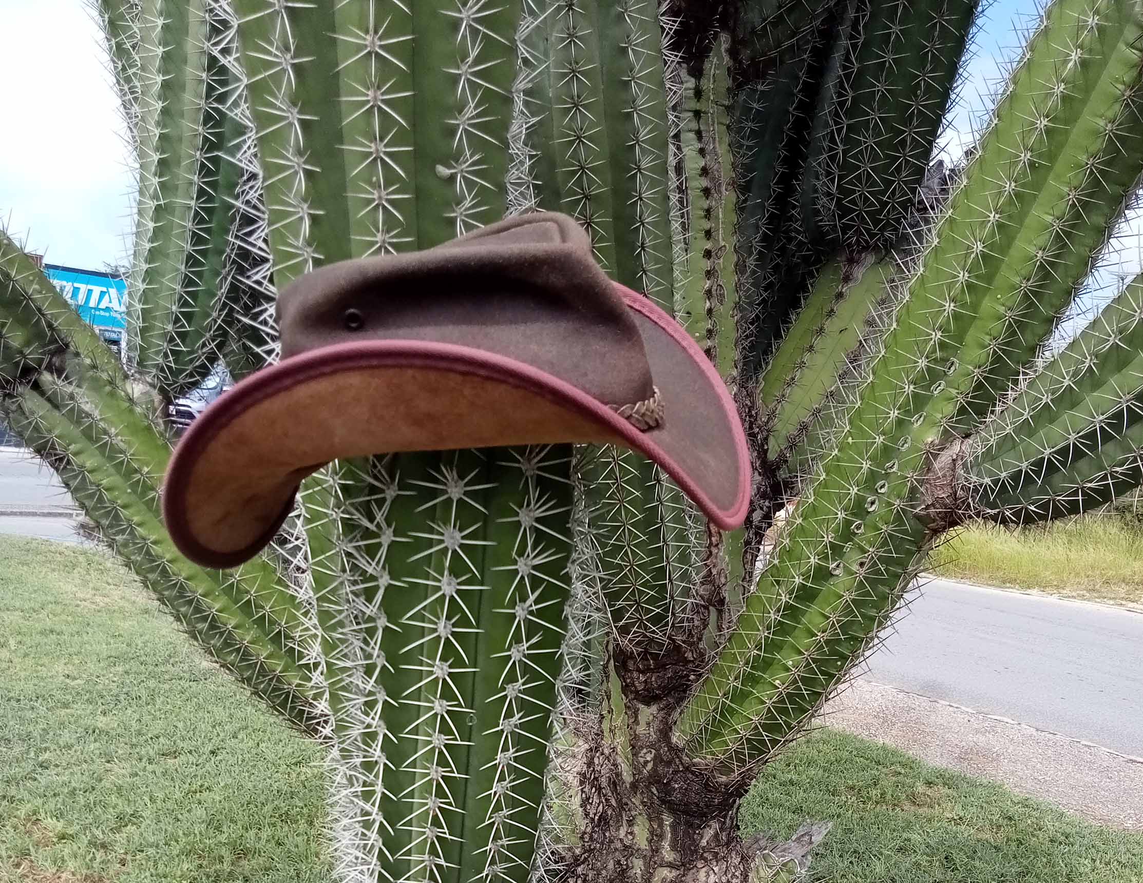 Aruba Hat