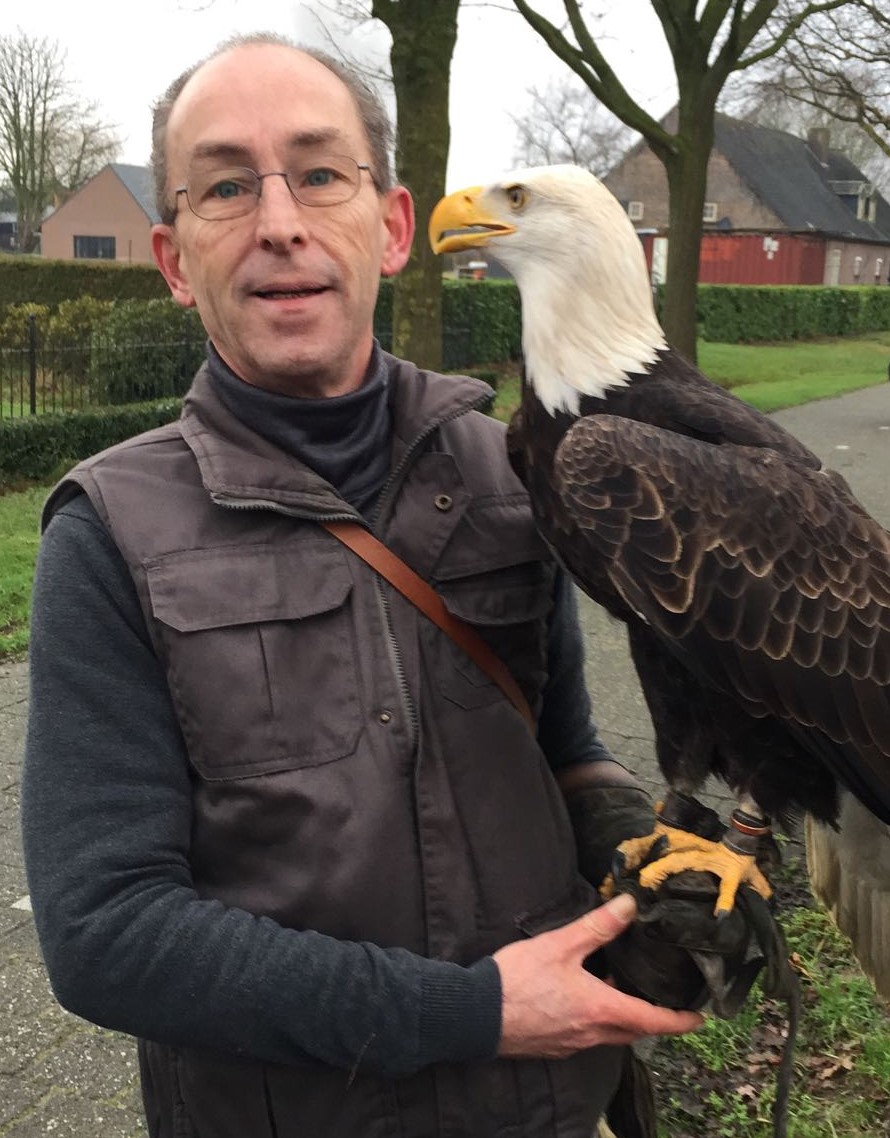 Jeroen Steeman - Bald Eagle