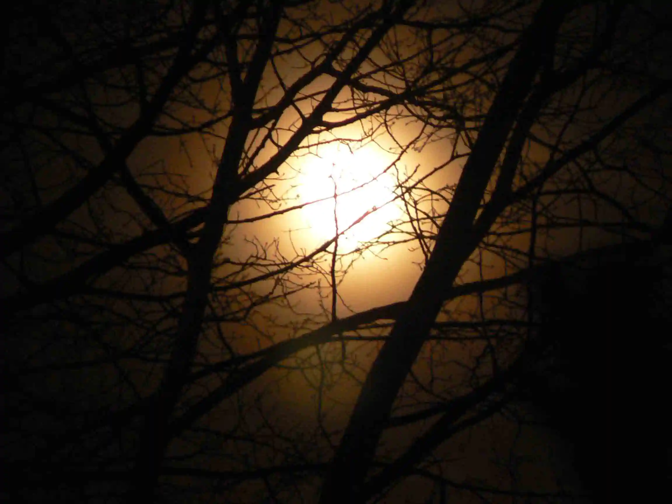 Evil Sun