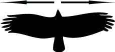 Vulture Wingspan