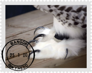 postage stamp image 1