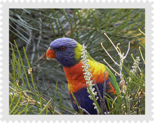 postage stamp image 5