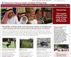 Multilingual Websites