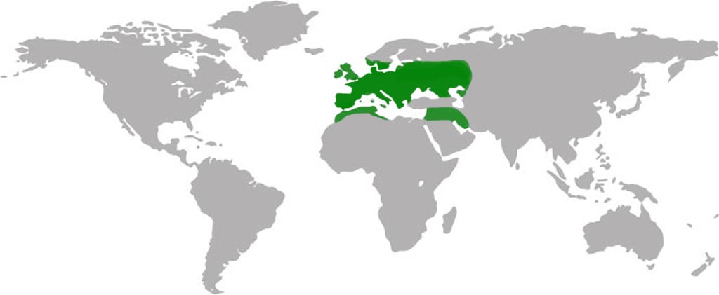 Red-Kite Habitat Map