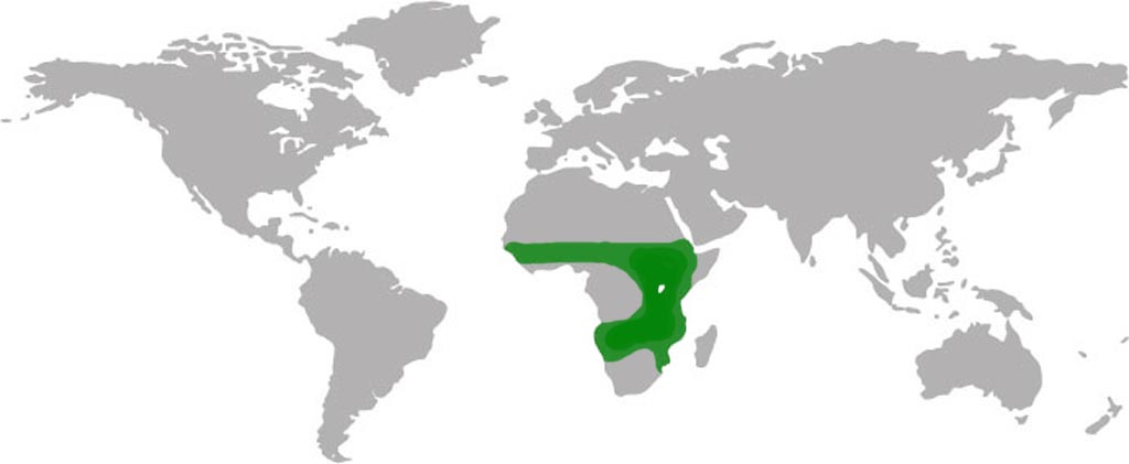 Vulture Habitat Map