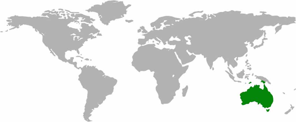 Boobook Owl Habitat Map