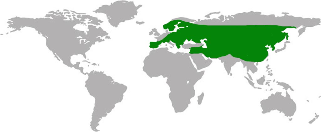 Eurasian Eagle Owl Habitat Map