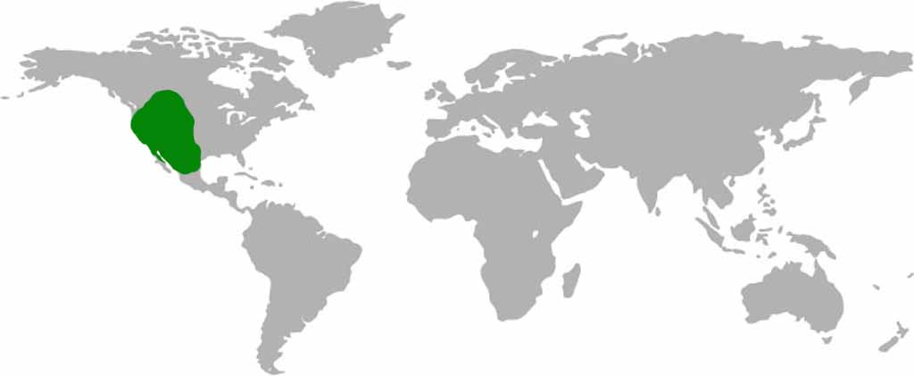 Ferruginous Hawk Habitat Map