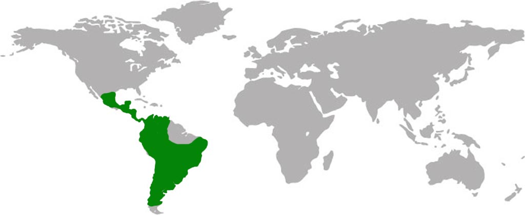 Harris Hawk Habitat Map