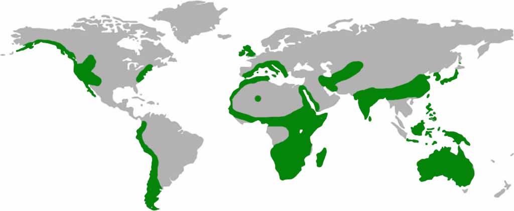 Peregrine Falcon Habitat Map